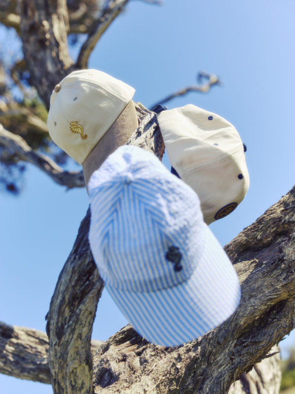 Three golf caps resting on tree branches outdoors, including a blue striped cap and two cream-colored caps with embroidered seahorse logos against a clear sky.