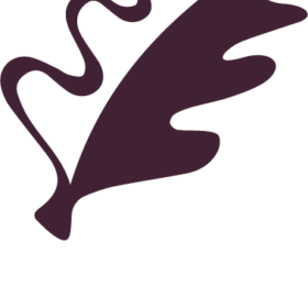 The International Golf Club